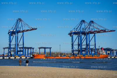 Do gdańskiego Baltic Hub przypłynął statek Zhen...