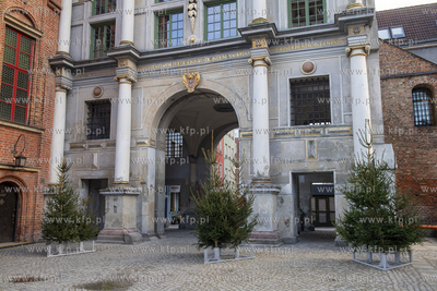 Tymczasowy, na czas remontu,  płot zniknął i odsłonił...