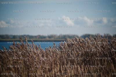 Trzcinsko, przy brzegu Martwej Wisly. Prezentacja testowej...