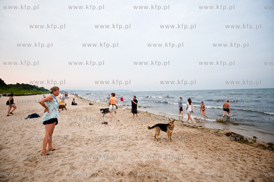 Sopocka plaza przyjazna dla zwierzat. Wprowadzona uchwala...