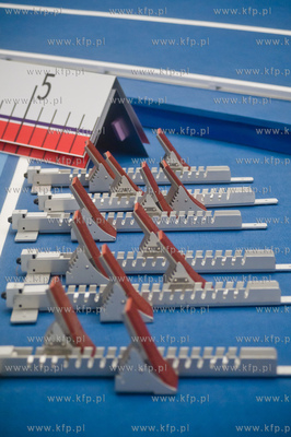 Sopot. Ergo Arena. Test Coopera zorganizowany przez...