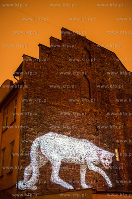 Gdansk. Wrzeszcz. Festiwal artystycznych instalacji...