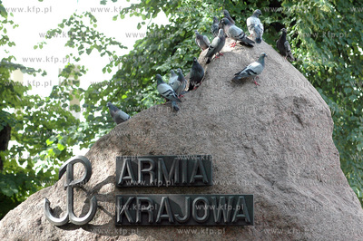 Golebie na pomniku Armii Krajowej w parku przy ul....