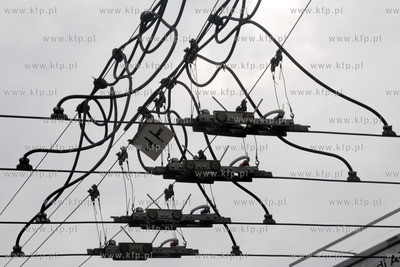 Juz po raz trzeci obchodzomy byl w sobote w Gdyni Europejski...