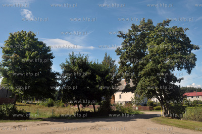 Wies Sulmin na Kaszubach w gmienie Zukowo. 24.08.2013...