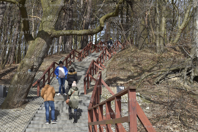 Gdańsk-Oliwa. Ul. Spacerowa. Schody na gorę Pachołek....