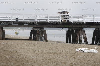 Letni deszczowy dzien w Sopocie. Nz molo.
08.07.2009
fot....