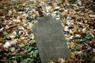 Gdansk - Wrzeszcz. Zapomniany cmentarz urnowy z poczatku...