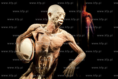 Wystawa o ciele ludzkim Human Body.
30.04.2013
fot....