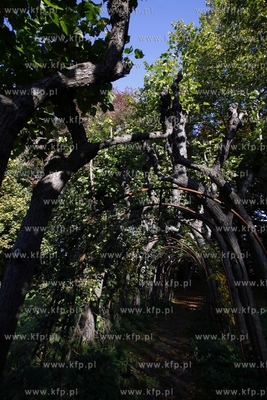 Sopot. Zespol willowo parkowy.
14.10.2013
fot. Krzysztof...