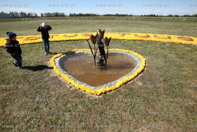 Mokry Dwor. Zulawski Tulipan. Z okolo jednego miliona...