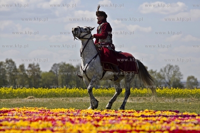 Mokry Dwór koło Pruszcza Gdańskiego. 8 edycja imprezy...