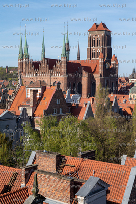 Widok na Gdańsk i ul. Szeroką z Żurawia. Nz. bazylika...