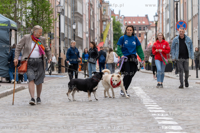 Święto Ulicy Ogarnej, podczas którego, w ramach...