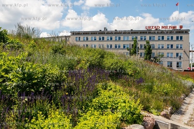 Gdańsk, Urząd Miejski. 04.06.2020 / fot. Anna Rezulak...