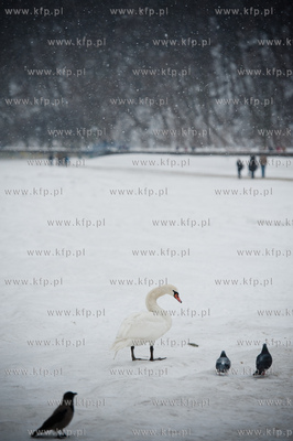 Gdynia. Mrozne zimowe popoludnie na plazy miejskiej....