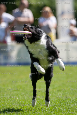 Sopot. Lazienki Polnocne. Trzecia kwalifikacja Dog...