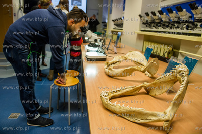 Akwarium Gdynskie. Tydzien Rekina oraz Dni Otwarte...