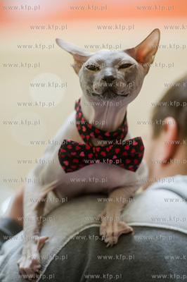 Gdansk. Wrzeszcz. Dzien Kota w CH Galeria Baltycka.
21.02.2016
fot....