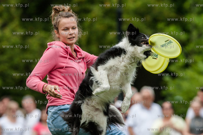 Sopot. Łazienki Połnocne. Zawody Latających Psów.
Nz...