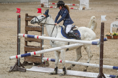 Hipodrom Sopot. Hala Pomarańczowa. Halowe Zawody w...