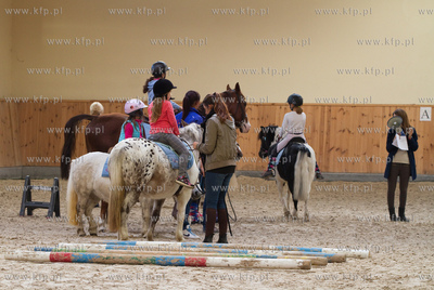 Szkolka jazdy konnej Galoopka zorganizowala dla swoich...