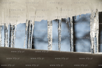 Dobrzewino, wieś na Kaszubach w powiecie wejherowskim....