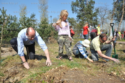 "Las ojców" - czyli sadzenie drzewek przez gdanskich...