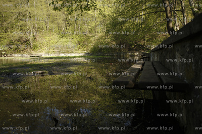 Sopockie Morskie Oko czyli Staw Nowowiejskiego malowniczy...