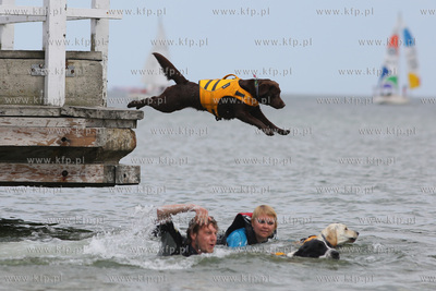 Gdańsk Brzeźno. Puchar Polski Psów Ratowniczych.
14.06.2015
fot....