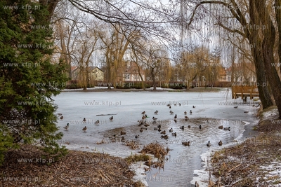 Zima w Parku Oruńskim. 04.02.2019 / Fot. Anna Rezulak...