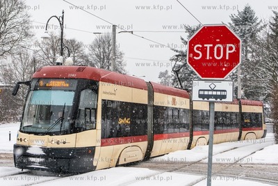 Zima w Oliwie.  9.02.2021 / fot. Anna Rezulak / KFP