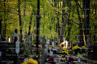 Gdansk. Cmentarz Srebrzysko.
28.10.2011
fot. Mateusz...