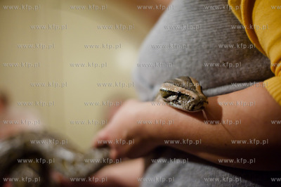 Gdansk. Centrum Hewelianum. Specjalnie przygotowana...