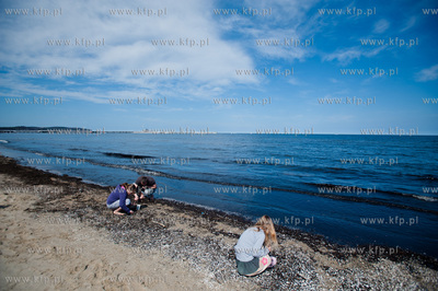 Tlumy mieszkancow i turystow na plazy i ulicach Sopotu,...