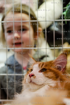 Gdansk. Wrzeszcz. Dzien Kota w CH Galeria Baltycka.
21.02.2016
fot....