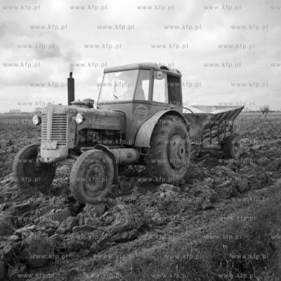 Wiosenne zabiegi agrotechniczne na polach zulawskiego...
