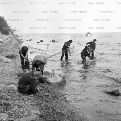 Polawiacze bursztynu na plazy w Gdyni Orlowie. 05.09.19732wrzesien73_z.kosycarz_p13Fot....