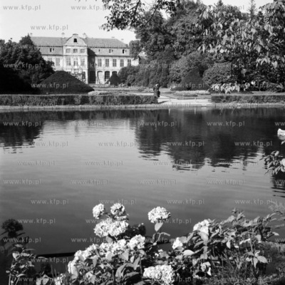 Późne lato w parku oliwskim w Gdańsku Oliwie. Na...