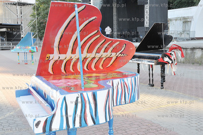 Chopin Polska The Course. Wielki Final w Gdyni. Kilkadziesiat...