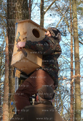 Zawieszanie budek legowych dla puszczykow na terenie...