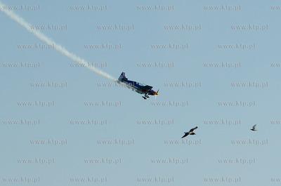 W ramach konferencji poswieconej Mistrzostw Swiata...