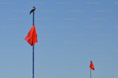 Sopot. Plaza. Zamkniete kapieliska w okolicach sopockiego...