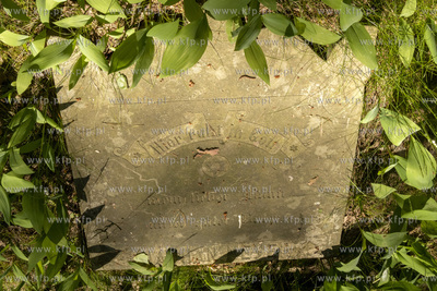 Cmentarz dawnej gminy żydowskiej w Skarszewach, założony...