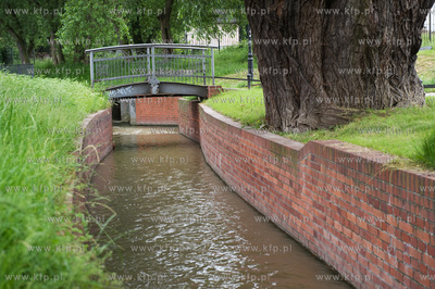 Gdansk Wrzeszcz, Park nad Strzyza.
02.07.2009
fot....