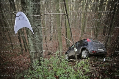 Sopot.Ul.Malczewskiego. Fiat Punto wypadl z drogi....