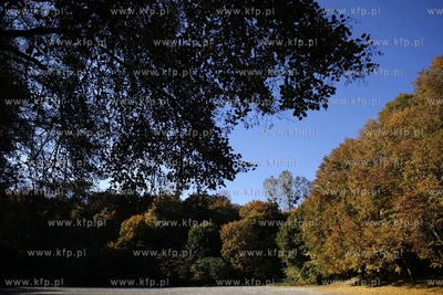 Sopot. Staw Morskie Oko.
14.10.2013
fot. Krzysztof...