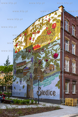 Gdańsk, Siedlce. Mural autorstwa Marcina Budzińskiego...