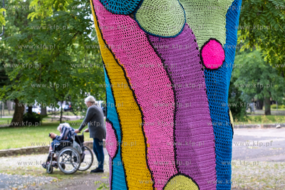 Gdańsk, Strzyża. Plac Gen. Maczka. Nz. Drzewa ozdobione...