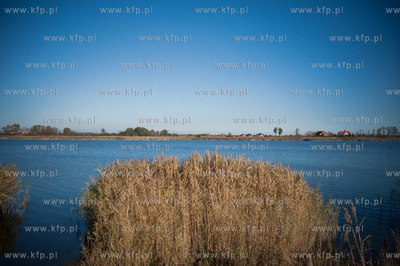 Trzcinsko, przy brzegu Martwej Wisly. Prezentacja testowej...